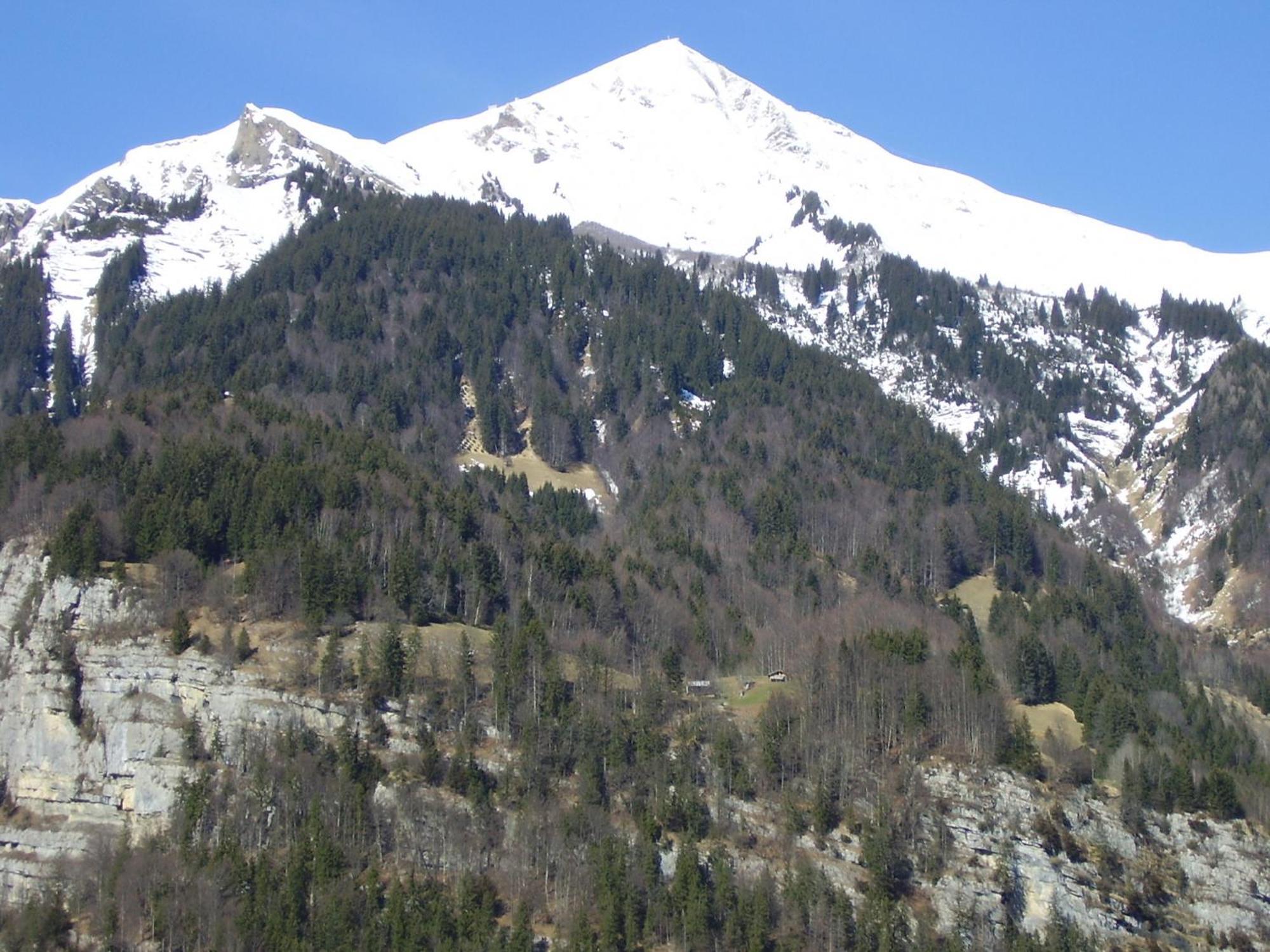 Seeli Hofstetten bei Brienz Luaran gambar