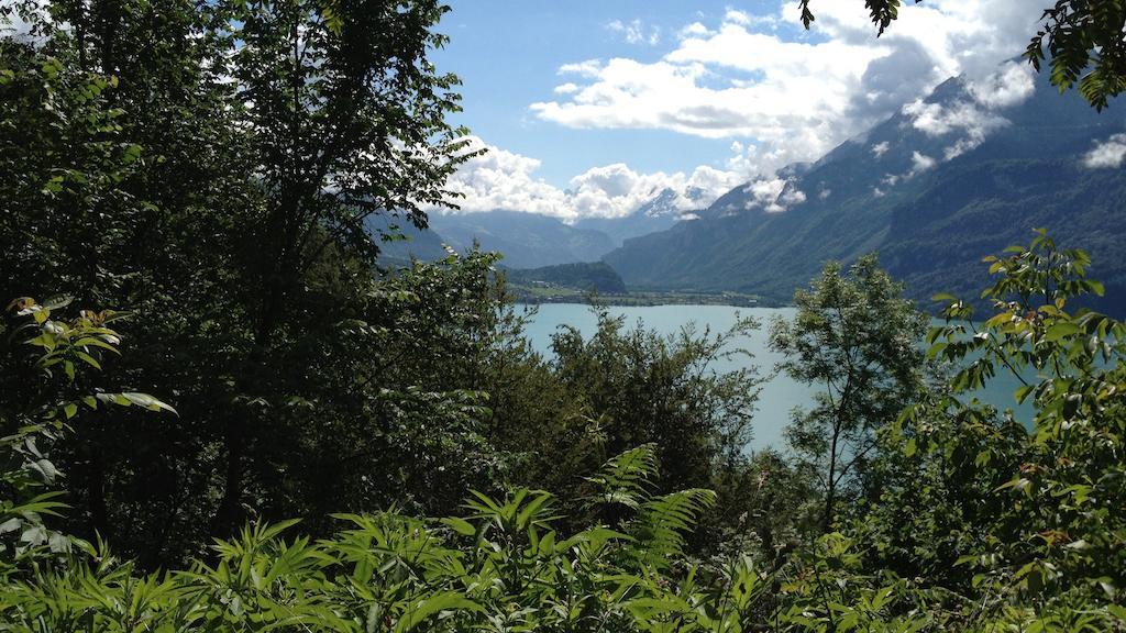 Seeli Hofstetten bei Brienz Bilik gambar